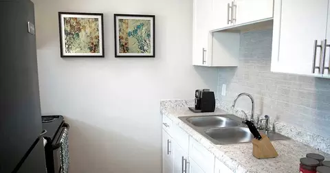 257 Milwaukee Ave #259-309, Dunedin, FL 34698