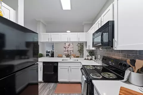 7055 Hollister St #1531, Houston, TX 77040