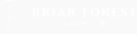 13202 Briar Forest Dr #6198, Houston, TX 77077