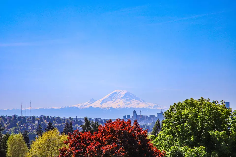  7750 15th Ave NW #405, Seattle, WA 98117 photo 43