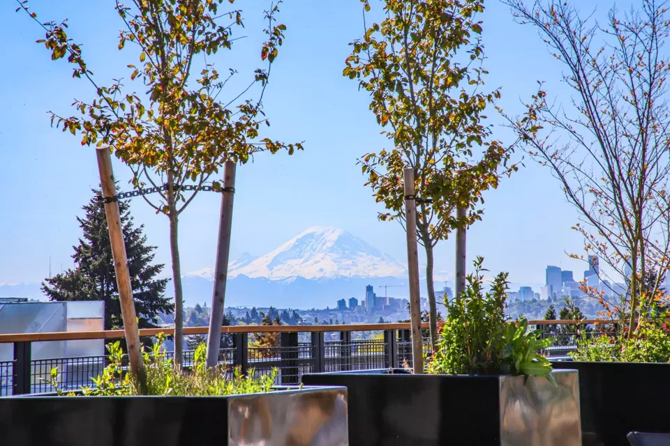  7750 15th Ave NW #405, Seattle, WA 98117 photo 45