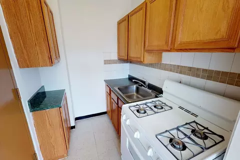 1440-1450 E 52nd St #01A, Chicago, IL 60615