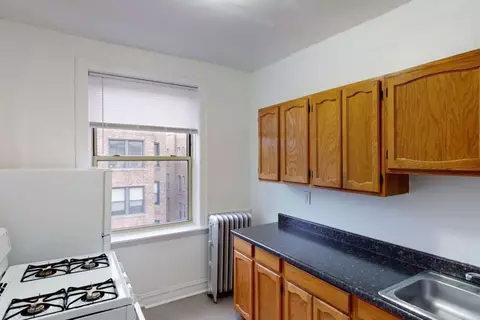 5034-5046 S Woodlawn Ave #5034BSMT, Chicago, IL 60615