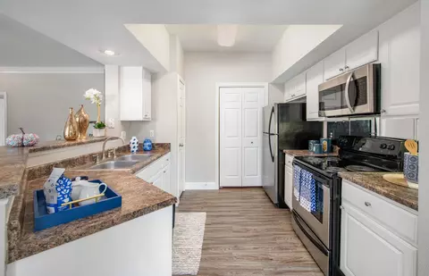 12820 Greenwood Forest Dr #14-1422, Houston, TX 77066