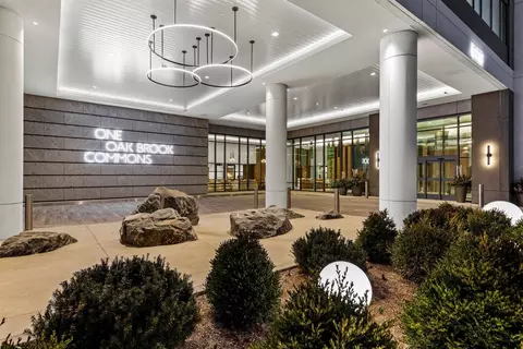 2150 Mc Donald Dr #1704, Oak Brook, IL 60523