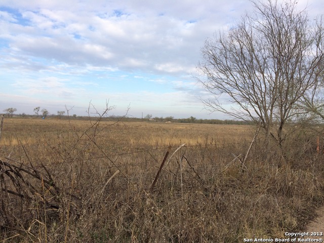 14783 Watson Rd, Von Ormy, TX 78073 photo 1