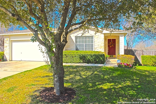 151 Spring Branch Dr, Kyle, TX 78640 photo 1