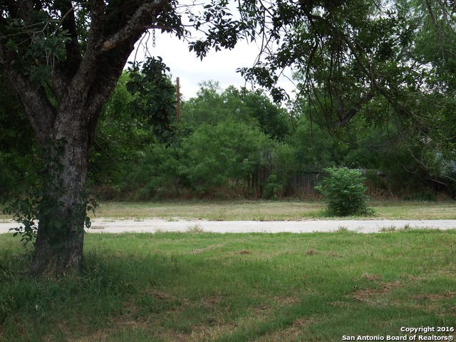 521 Mesquite Ave, Devine, TX 78016 photo 1