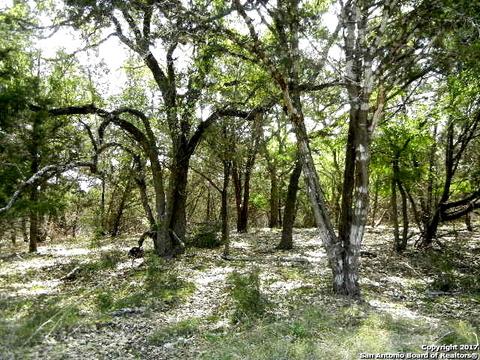 2833 Firethorn Path, Spring Branch, TX 78070 photo 1