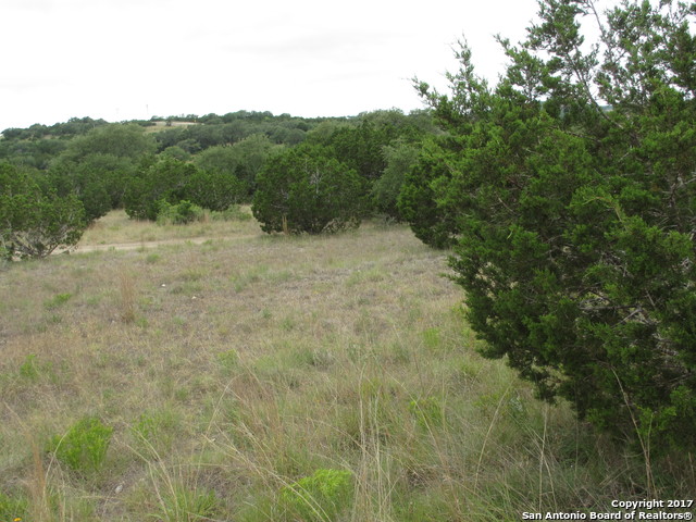 58 Dodder Ln, Spring Branch, TX 78070 photo 1