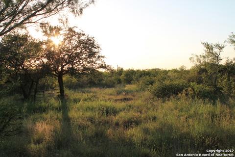 4177 E Fm 462, Moore, TX 78057 photo 1