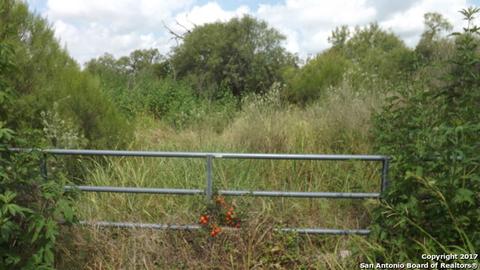 2 Blue Quail, Lytle, TX 78052 photo 1