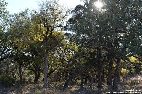 352 Warbler Dr, Spring Branch, TX 78070 photo 1