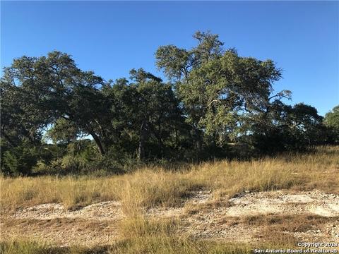 409 George Dolson, Blanco, TX 78606 photo 1