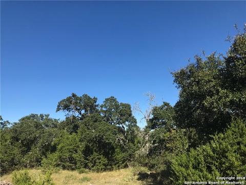 111 Eli Chandler, Blanco, TX 78606 photo 1