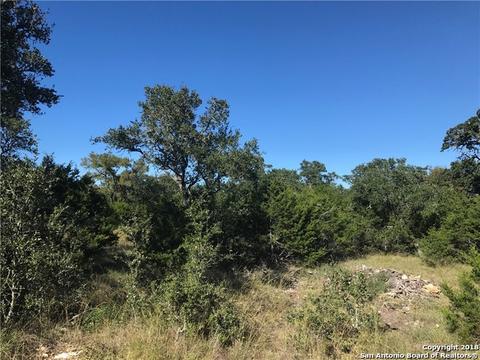 109 Eli Chandler, Blanco, TX 78606 photo 1