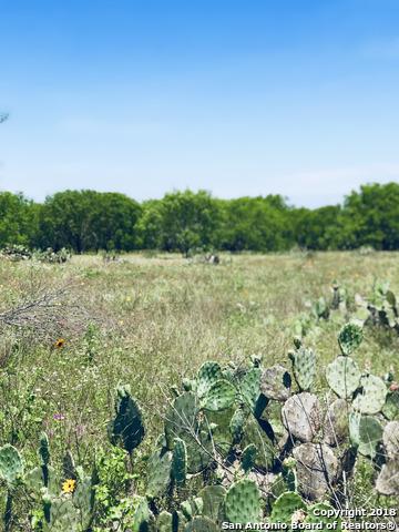 1055 County Road 773, Devine, TX 78016 photo 1