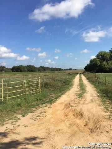 975 County Road 777, Devine, TX 78016 photo 1