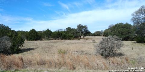 108 George Dolson, Blanco, TX 78606 photo 1