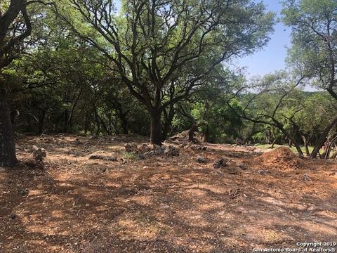1179 Burning Tree, Spring Branch, TX 78070 photo 1
