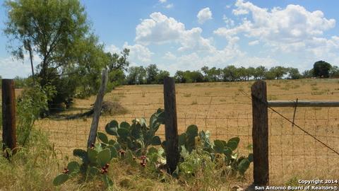 130 County Road 779, Devine, TX 78016 photo 1