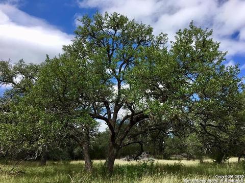 1234 Lipan Apache Run, Blanco, TX 78606 photo 1