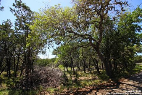 1041 Burning Tree, Spring Branch, TX 78070 photo 1