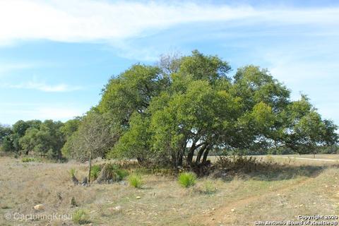 795 Lipan Apache, Blanco, TX 78606 photo 2