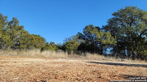 127 Bee Tree Dr, Spring Branch, TX 78070 photo 1
