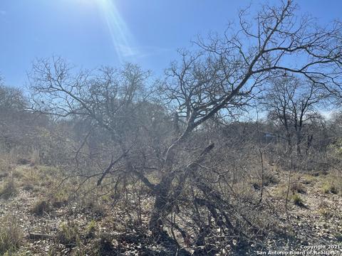 316 Cr 6846, Lytle, TX 78052 photo 1