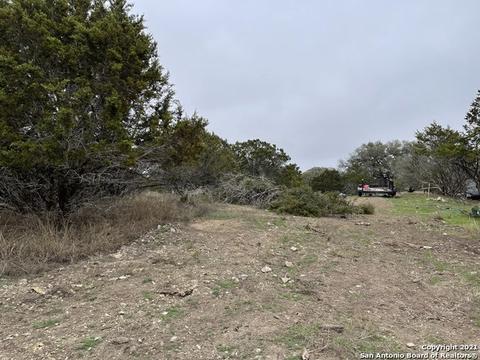 182 Bee Tree Dr, Spring Branch, TX 78070 photo 1