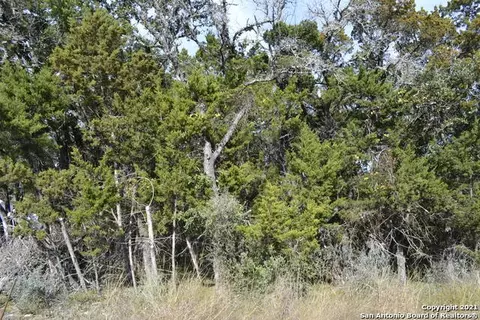 lot304 Whartons Dock, Bandera, TX 78003