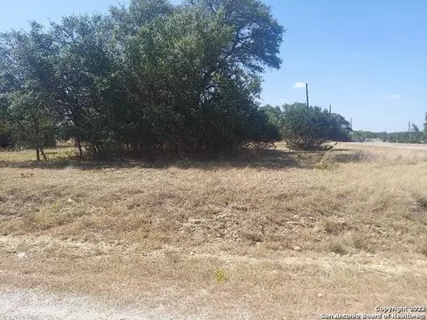 Lot 448 Williams Wood, Blanco, TX 78606
