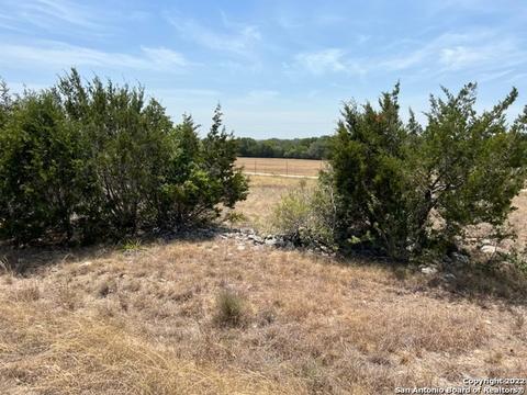 416 George Dolson, Blanco, TX 78606 photo 1