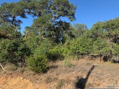 229 Peter Kleid Loop, Blanco, TX 78606 photo 1