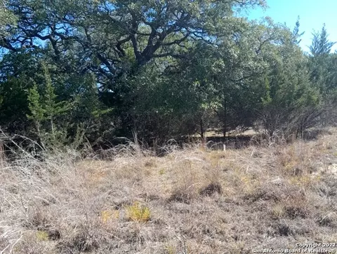 232 Hiram Cook, Blanco, TX 78606