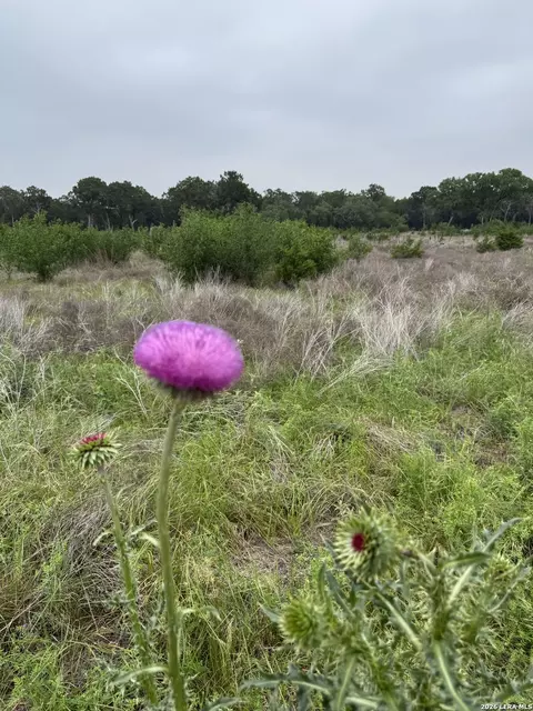 Lot 52 Clearwater Canyon Rd, Bandera, TX 78003