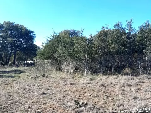 125 Antonio Perez, Blanco, TX 78606