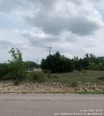 Lot 1313 Eli Chandler, Blanco, TX 78606 photo 3