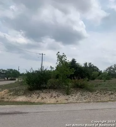 Lot 1313 Eli Chandler, Blanco, TX 78606 photo 5
