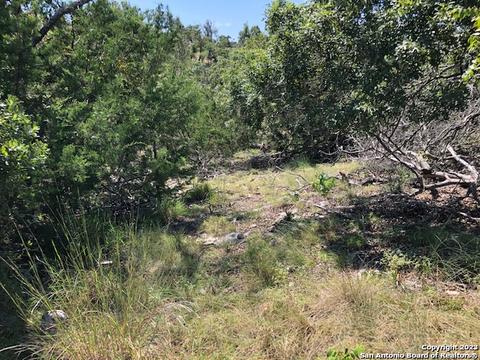 lot8 Longview Dr, Fredericksburg, TX 78624
