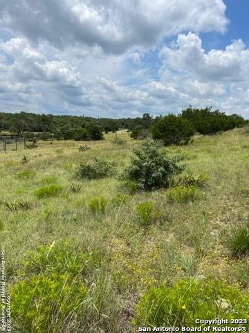 102 Ephraim Mclane, Blanco, TX 78606 photo 2