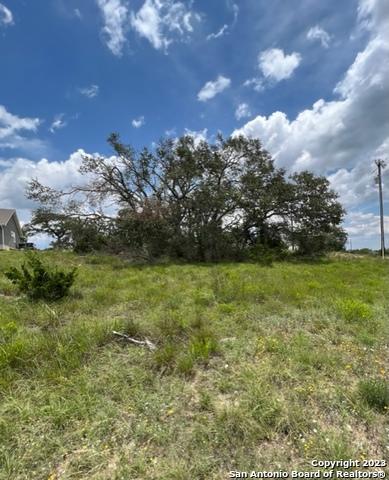 102 Ephraim Mclane, Blanco, TX 78606 photo 6