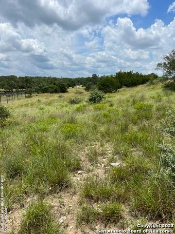 102 Ephraim Mclane, Blanco, TX 78606 photo 5