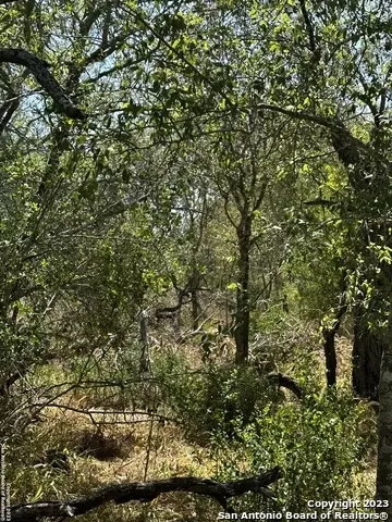 5958 Cr 405, Floresville, TX 78114