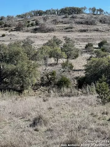 2985 Maenius Rd, Blanco, TX 78606 photo 1