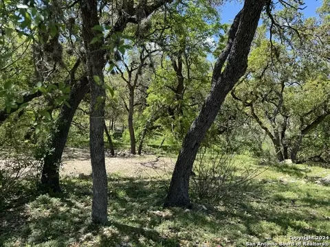 56 Eton Green Cir, San Antonio, TX 78257
