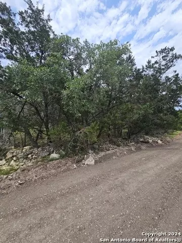 323 Line Camp Loop, Spring Branch, TX 78070 photo 1