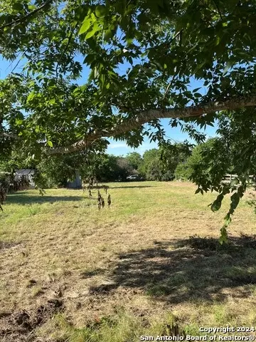557 Collins St, Seguin, TX 78155