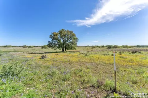 167 NW Nantan Ln, Harper, TX 78631